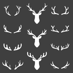 collection set deer head