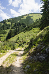 summer landscape of Marmarosy mountains range of Carpathian mountains on the Ukraine and Romania border