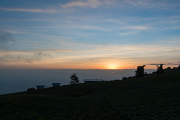 morning sun light in cabbage field at Tub Burk mountain of Thailand