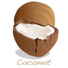 coconut cut vector