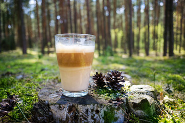 Coffee in the forest
