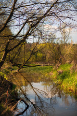 Warta river, Poland, Europe

