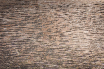 Fototapeta premium texture of bark wood use as natural background