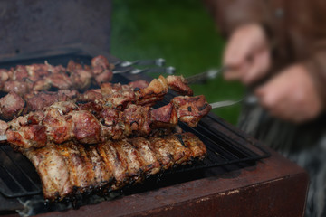 meat skewers on the barbecue coals