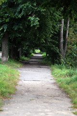 Park walkway