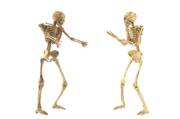 Human skeleton bone standing action