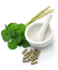 gotu kola supplement, mortar and pestle