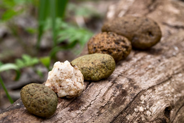 Disharmony in pebbles row