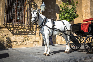 Naklejka na ściany i meble Traditional Horse and Cart at Cordoba Spain - travel background