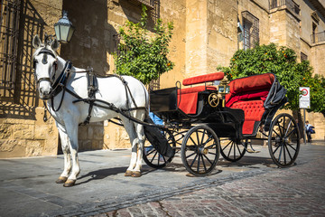 Traditional Horse and Cart at Cordoba Spain - travel background - 109812764