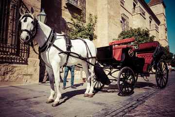 Fototapeta na wymiar Traditional Horse and Cart at Cordoba Spain - travel background