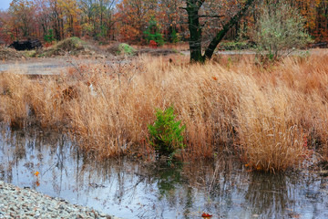 autumn landscape at sunset with hills and river