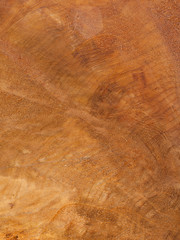Wood background