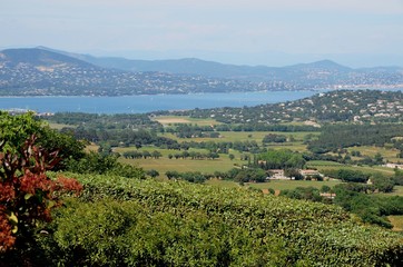 Gassin, vue sur le Golfe de Saint Tropez