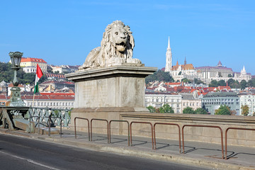 Obraz premium Budapest, Hungary. Stone lion on the Szechenyi Chain Bridge on the background of Castle Hill with Matthias Church and Fisherman's Bastion.