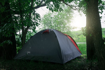 Tent camping in green summer forest