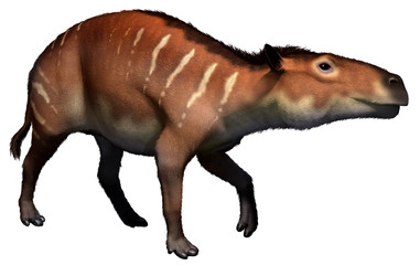 eurohippus from the Eocene era 3D illustration © warpaintcobra
