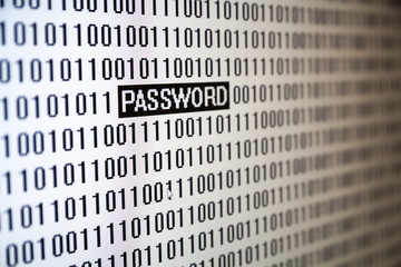 Computer screen shot with binary code and password text, concept for computer and online security