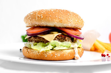 Burger full face with vegetables, spices and fries