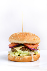 Burger full face with vegetables