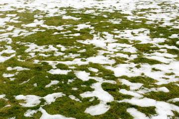 snow on a grass.