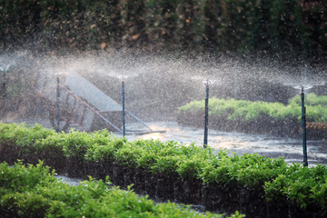 water sprinkler.