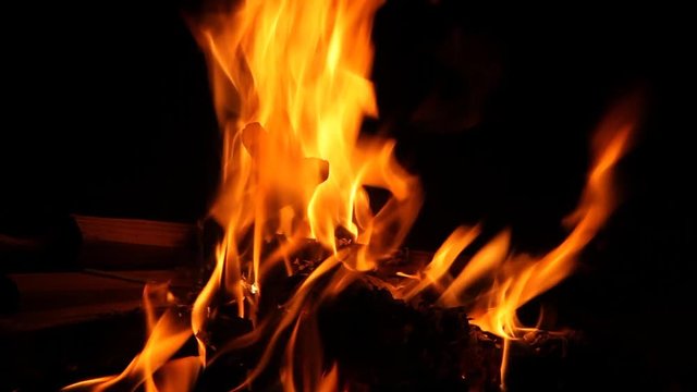 A campfire burning