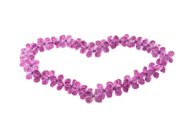 Obraz premium Fresh lilac flower isolated