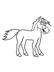 funny silly crazy comic cartoon horse laugh silly stallion donkey