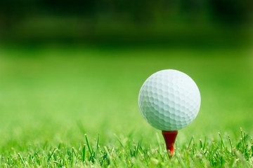 Golf ball on tee in grass