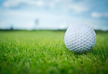 Golf ball in grass