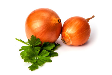 onion and parsley