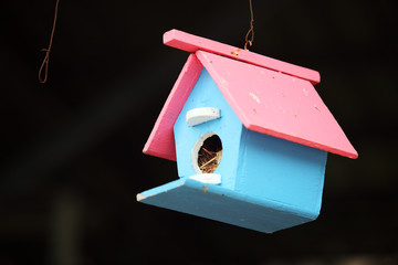colorful bird house.