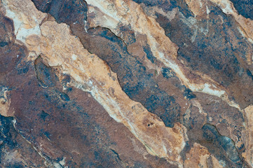 Flagstone texture close up for background.