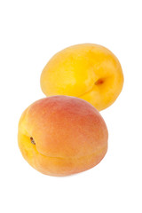 two nectarine fruits