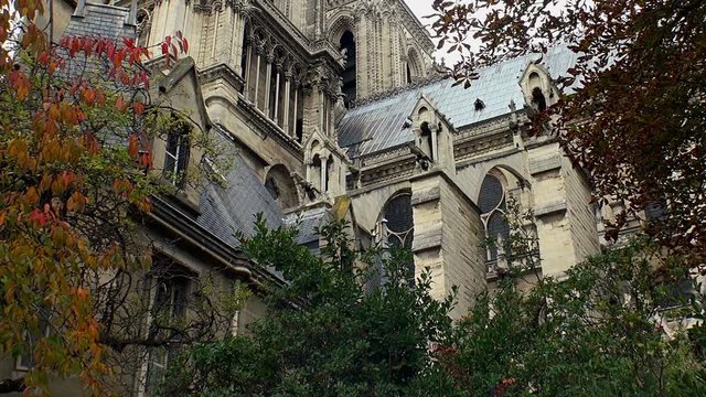 Notre Dame Cathedral de Paris. France.