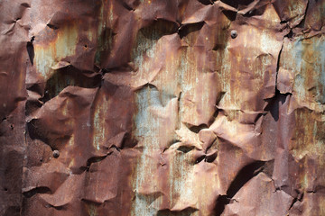 wrinkle zinc wall