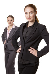 professional business model