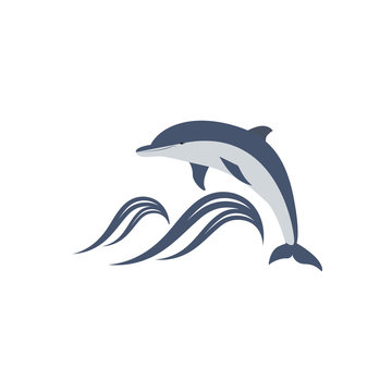 vector illustration of dolphin jumping over the waves. great for logo