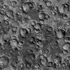 Ground texture. Seamless.