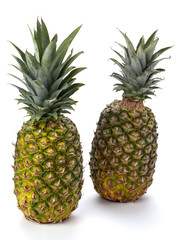 Fototapeta premium two pineapples on white