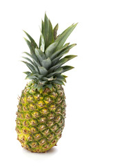 Fototapeta premium pineapple on white
