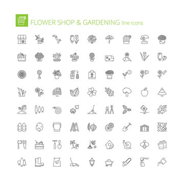 Line icons. Flower shop and gardening