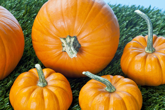 part of view of halloween pumpkins.