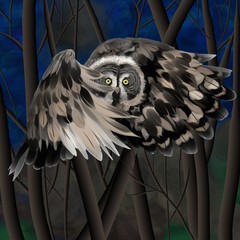 owl, bird, forest, night, drawing