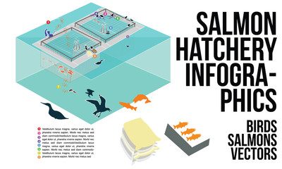 Salmon Hatchery Infographic Set