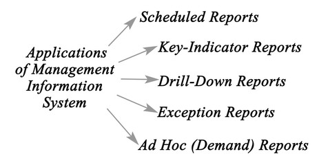 Diagram of Management Information System. © Dmitry