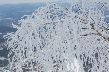 Beautiful winter landscape.