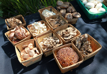 containers of mushrooms