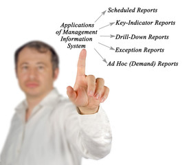 Diagram of Management Information System. © Dmitry